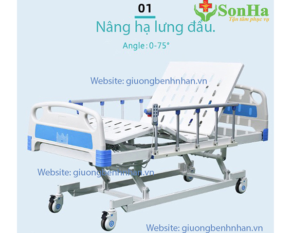 Giường Y Tế 3 Chức Năng Lucass GB-63 3